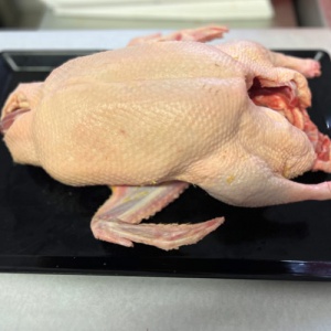 ente_ganz_613214177